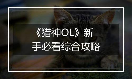 《猎神OL》新手必看综合攻略