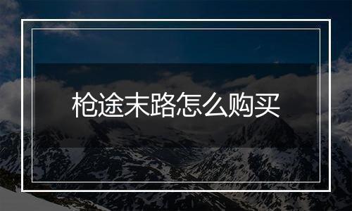 枪途末路怎么购买