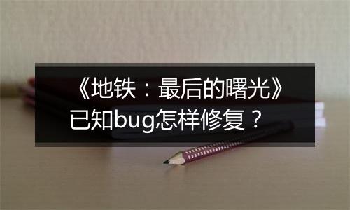 《地铁：最后的曙光》已知bug怎样修复？