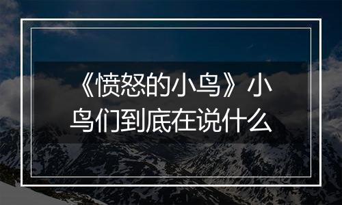 《愤怒的小鸟》小鸟们到底在说什么