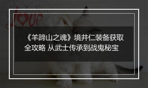 《羊蹄山之魂》境井仁装备获取全攻略 从武士传承到战鬼秘宝