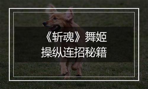 《斩魂》舞姬操纵连招秘籍