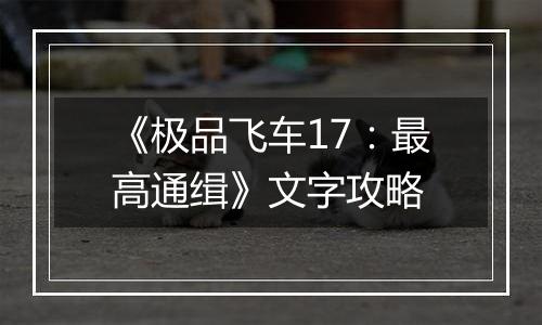 《极品飞车17：最高通缉》文字攻略