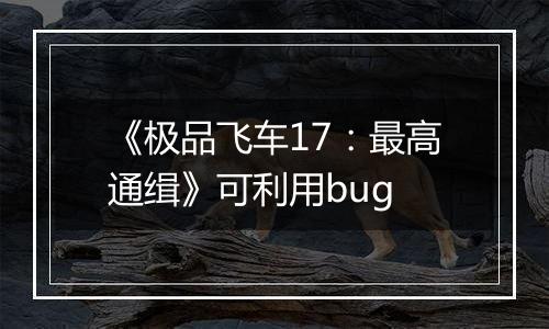 《极品飞车17：最高通缉》可利用bug