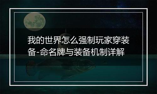 我的世界怎么强制玩家穿装备-命名牌与装备机制详解