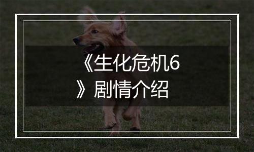 《生化危机6》剧情介绍