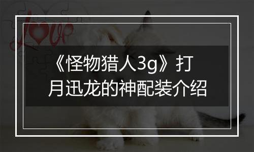 《怪物猎人3g》打月迅龙的神配装介绍