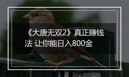 《大唐无双2》真正赚钱法 让你能日入800金