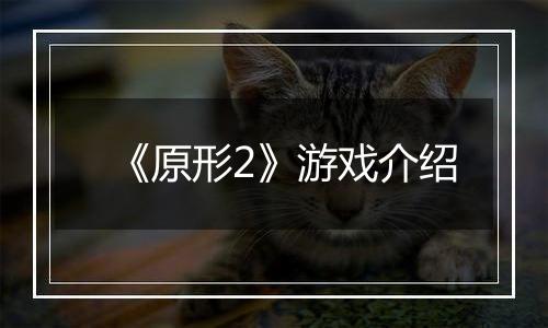 《原形2》游戏介绍