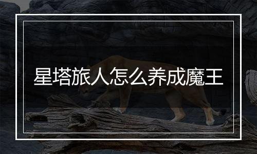 星塔旅人怎么养成魔王