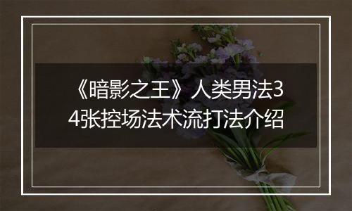《暗影之王》人类男法34张控场法术流打法介绍
