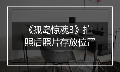 《孤岛惊魂3》拍照后照片存放位置