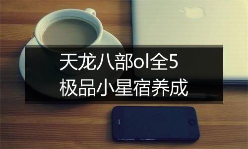 天龙八部ol全5极品小星宿养成