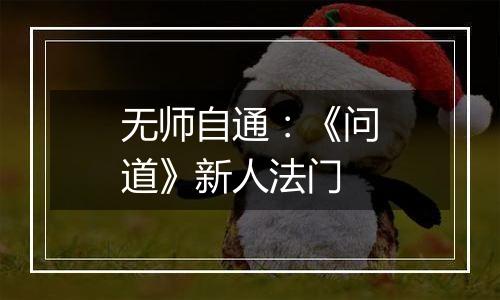 无师自通：《问道》新人法门