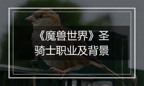 《魔兽世界》圣骑士职业及背景