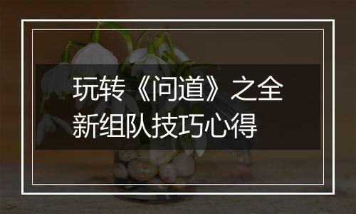 玩转《问道》之全新组队技巧心得