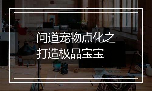 问道宠物点化之打造极品宝宝