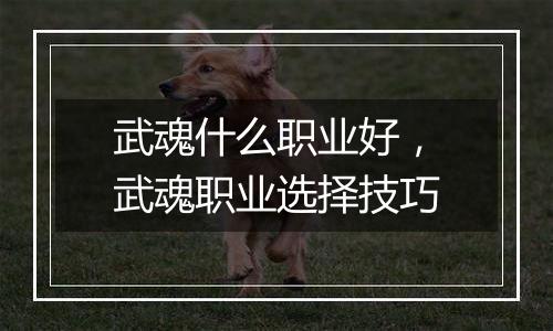 武魂什么职业好，武魂职业选择技巧