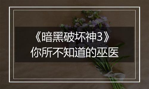 《暗黑破坏神3》你所不知道的巫医