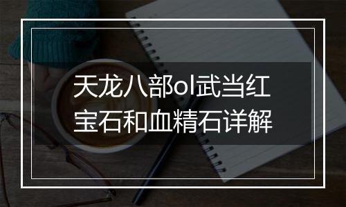 天龙八部ol武当红宝石和血精石详解