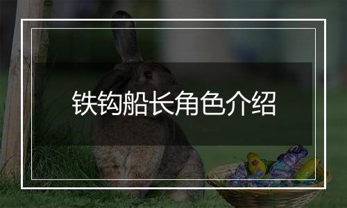 铁钩船长角色介绍