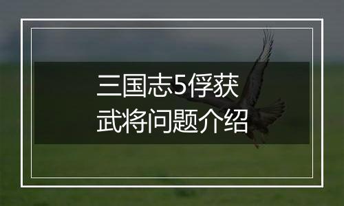 三国志5俘获武将问题介绍