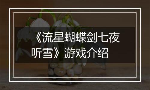 《流星蝴蝶剑七夜听雪》游戏介绍