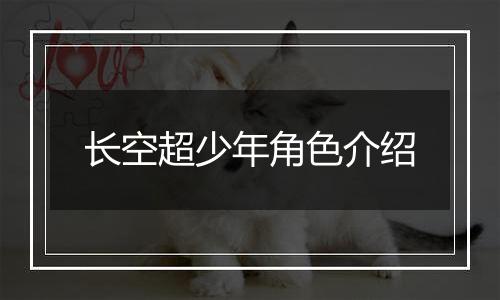 长空超少年角色介绍