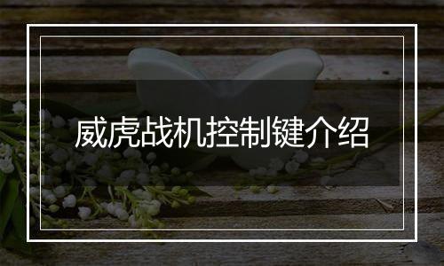威虎战机控制键介绍