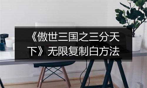 《傲世三国之三分天下》无限复制白方法