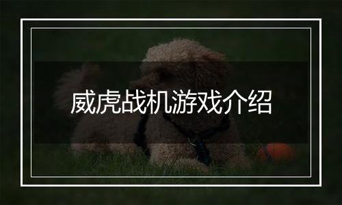 威虎战机游戏介绍
