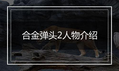合金弹头2人物介绍