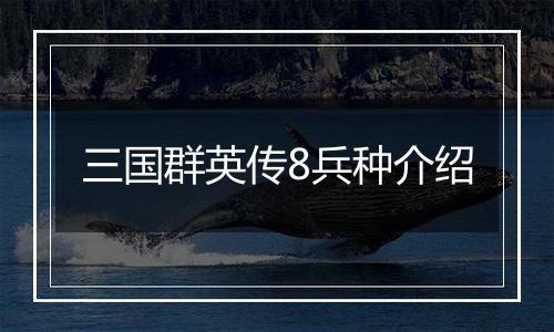 三国群英传8兵种介绍