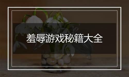 羞辱游戏秘籍大全