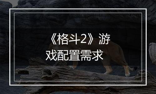 《格斗2》游戏配置需求