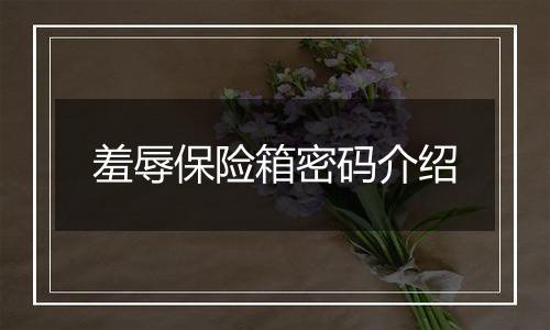 羞辱保险箱密码介绍