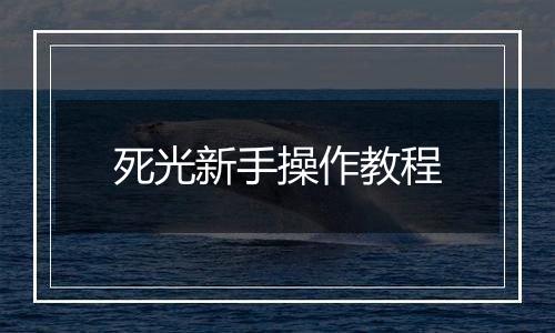 死光新手操作教程