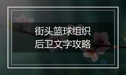 街头篮球组织后卫文字攻略