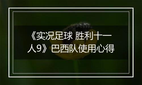 《实况足球 胜利十一人9》巴西队使用心得