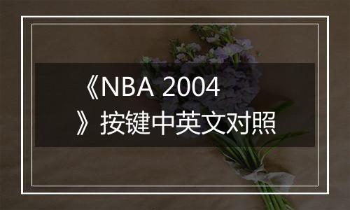 《NBA 2004》按键中英文对照