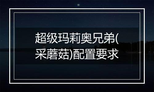 超级玛莉奥兄弟(采蘑菇)配置要求