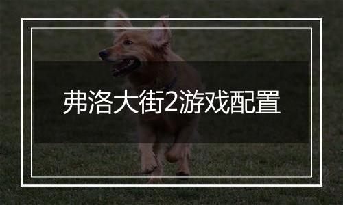 弗洛大街2游戏配置