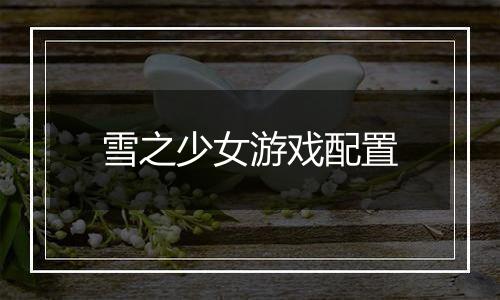 雪之少女游戏配置