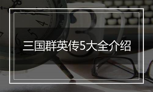 三国群英传5大全介绍