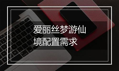 爱丽丝梦游仙境配置需求