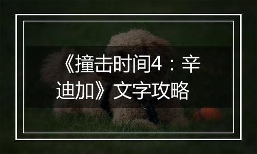 《撞击时间4：辛迪加》文字攻略