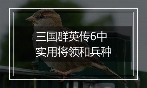 三国群英传6中实用将领和兵种