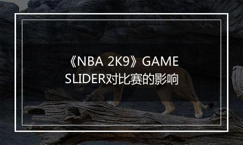 《NBA 2K9》GAMESLIDER对比赛的影响