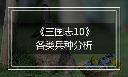 《三国志10》各类兵种分析