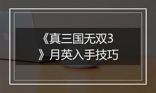 《真三国无双3》月英入手技巧